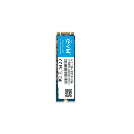 EVM 512GB M.2 SATA SSD EVMM2512GB.png