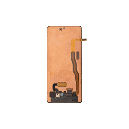 SAMSUNG Galaxy Note 20 Display.png